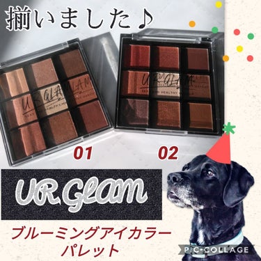 UR GLAM　BLOOMING EYE COLOR PALETTE/U R GLAM/アイシャドウパレットを使ったクチコミ（1枚目）