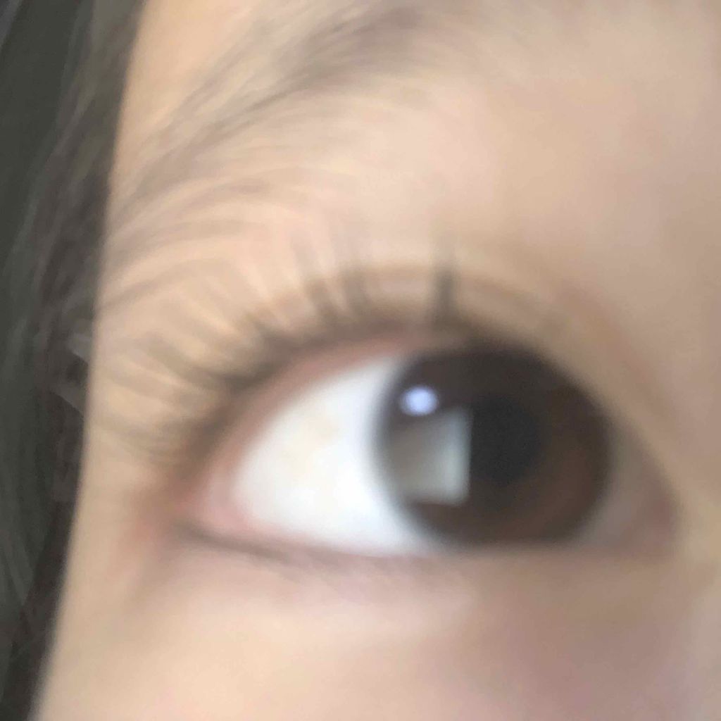 ラッシュセラムカーラー/MAJOLICA MAJORCA/マスカラ下地を使ったクチコミ（2枚目）