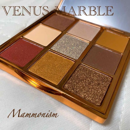 VenusMarble 9色アイシャドウパレット/Venus Marble/アイシャドウパレットを使ったクチコミ(1枚目)