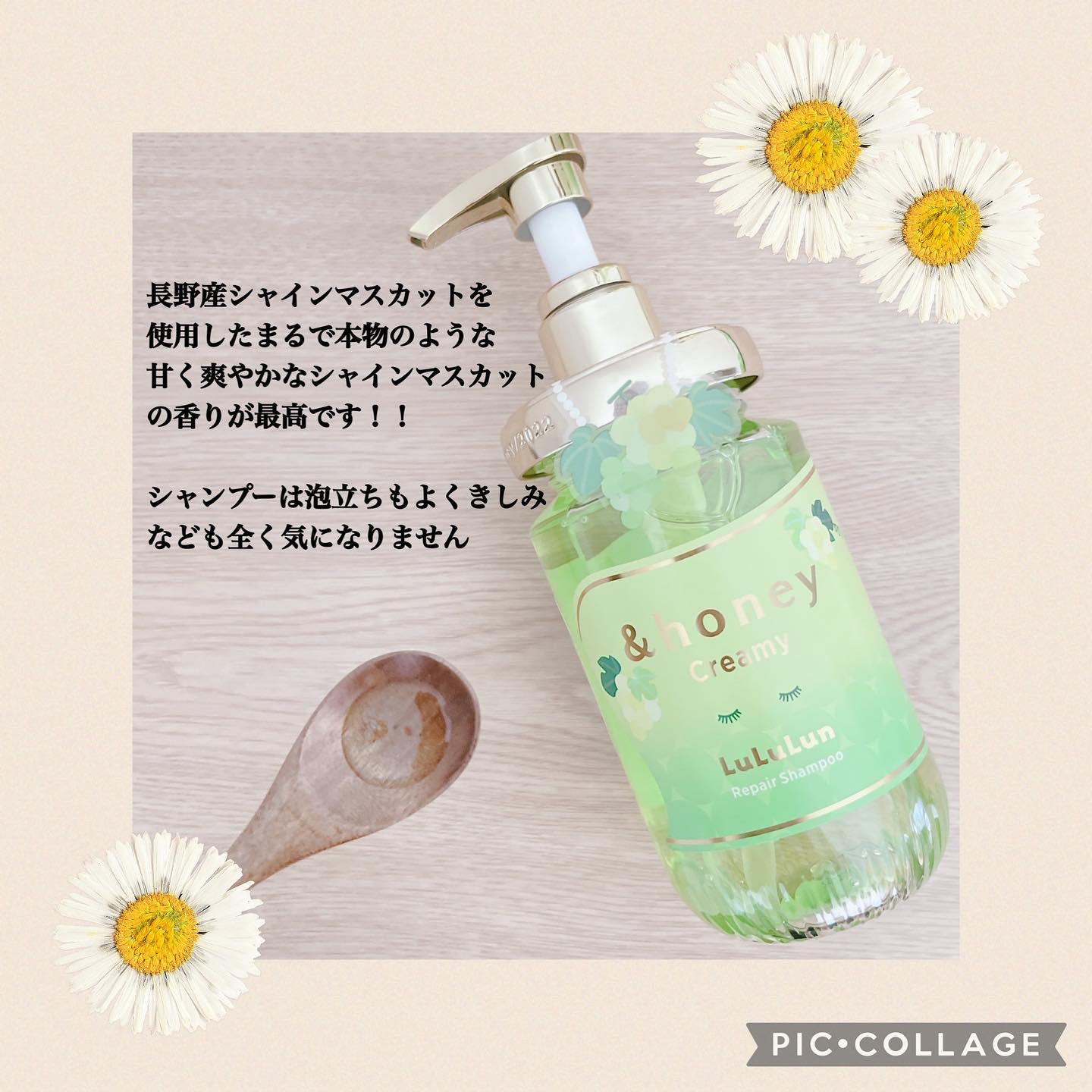 アンドハニー シャンプートリートメントマスカットの香2個セット アンドハニー シャインマスカットの香り シャンプー