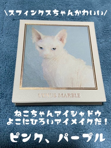 Venus Marble アイシャドウキャットシリーズ スフィンクス/Venus Marble/アイシャドウパレットを使ったクチコミ（1枚目）