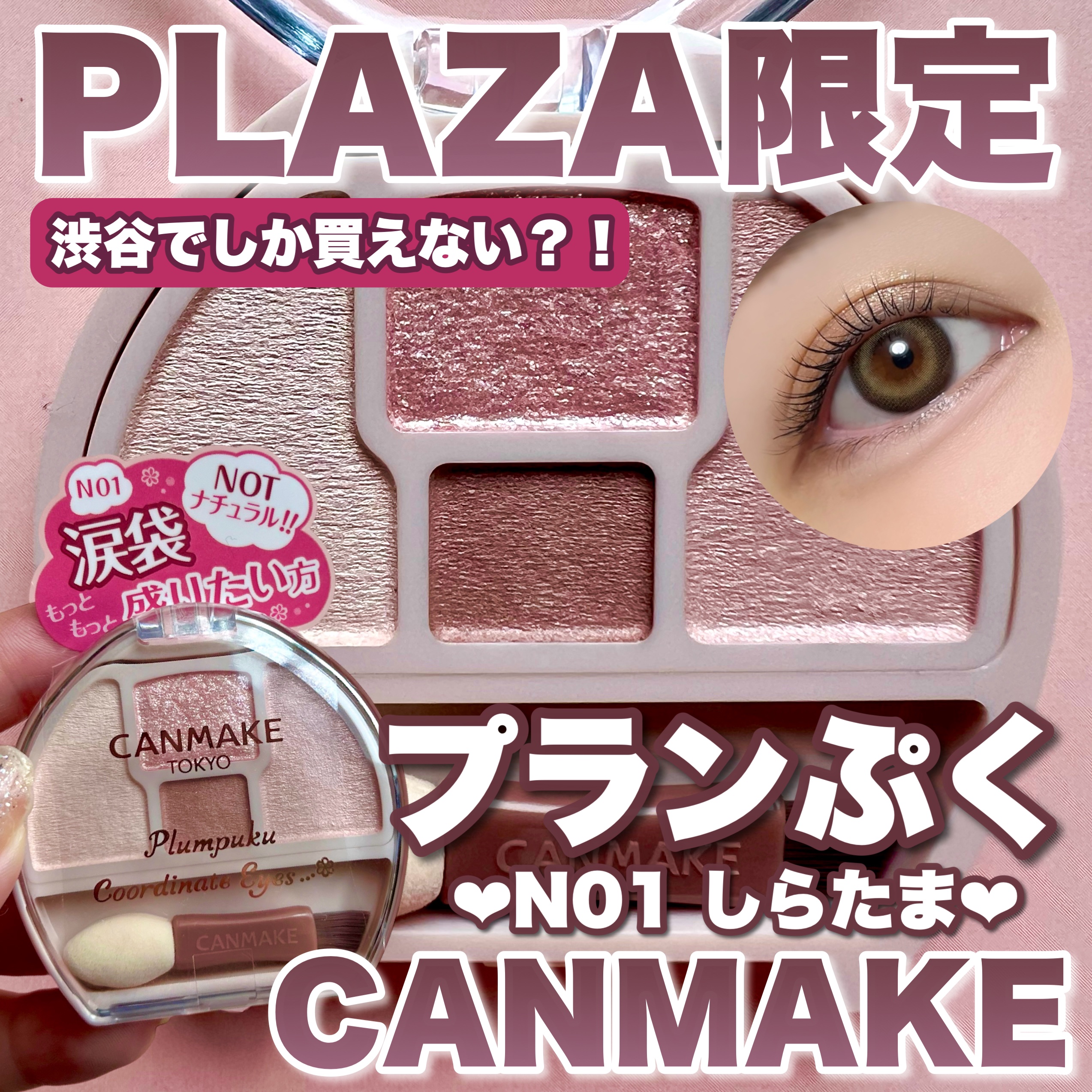プランぷくコーデアイズ/キャンメイク/パウダーアイシャドウを使ったクチコミ（1枚目）