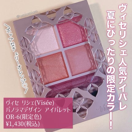 パノラマデザイン アイパレット/Visée/アイシャドウパレットを使ったクチコミ(2枚目)
