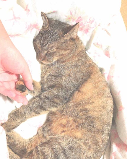 シークレットスキンメイカーゼロ(リキッド)/KATE/リキッドファンデーションを使ったクチコミ(1枚目)