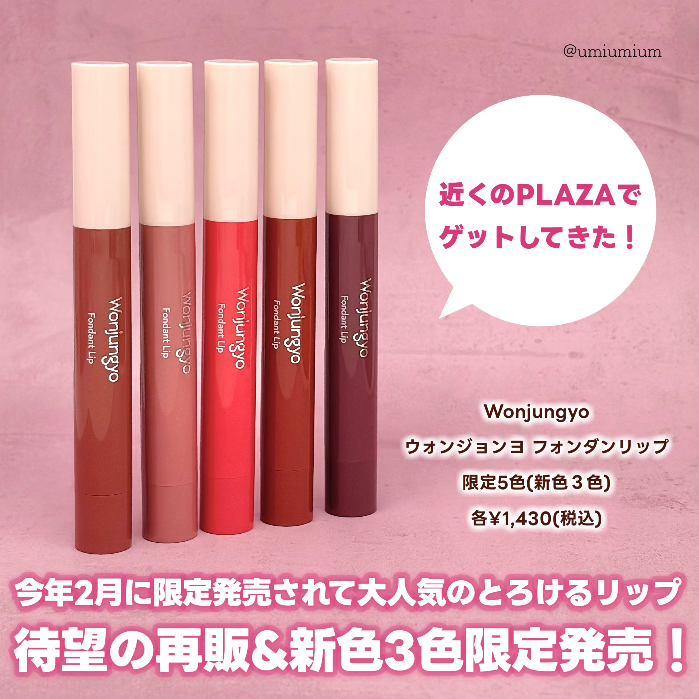 ウォンジョンヨ フォンダンリップ/Wonjungyo/口紅を使ったクチコミ（2枚目）