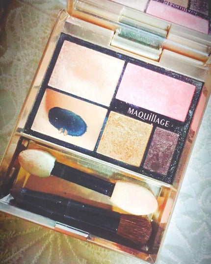 トゥルーアイシャドー/マキアージュ/アイシャドウパレットを使ったクチコミ(1枚目)
