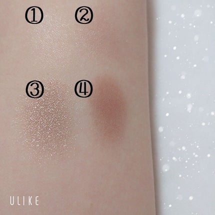 グロッシーリッチ アイズ N/Visée/アイシャドウパレットを使ったクチコミ(4枚目)