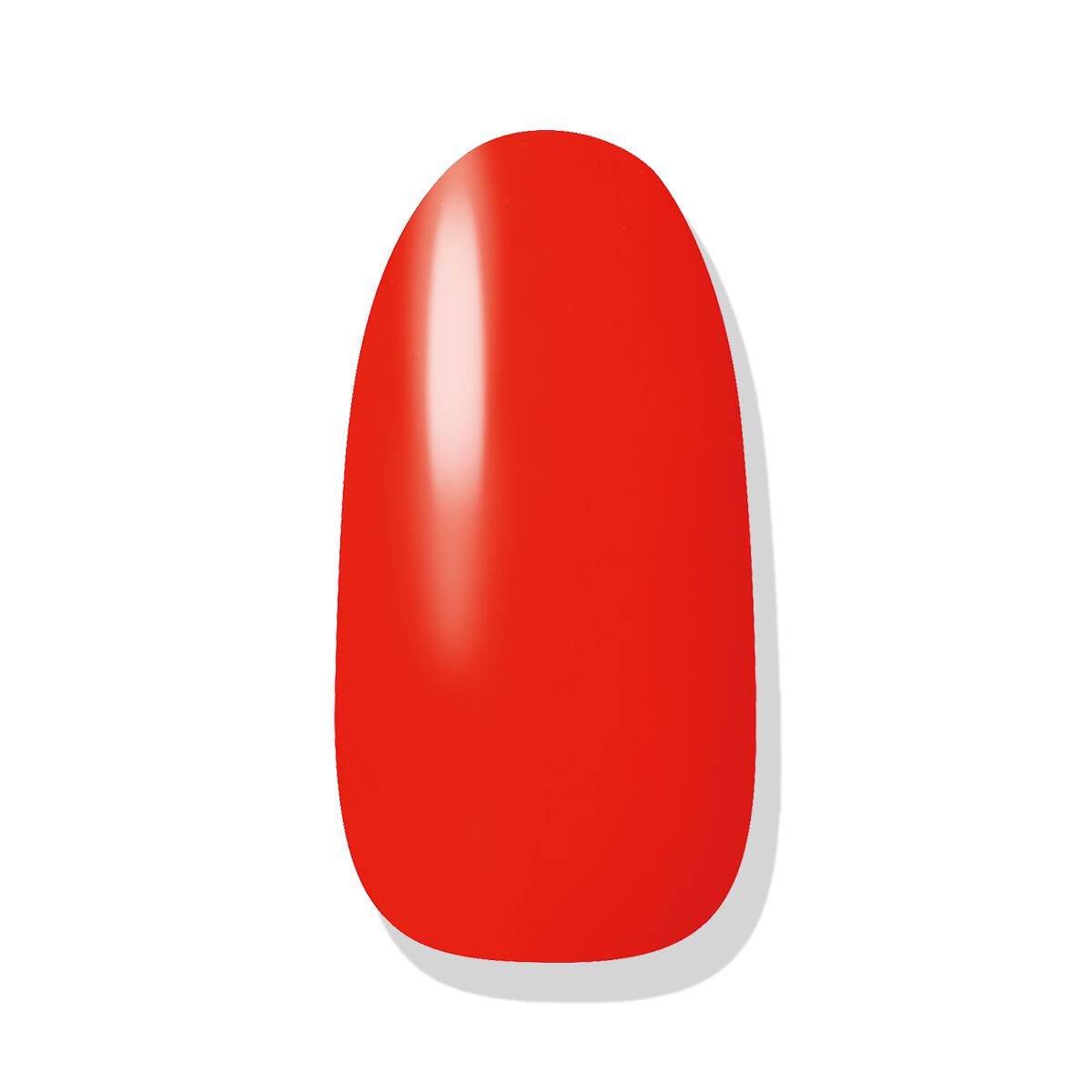 ネイルホリック Juicy color OR205