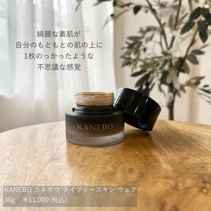 ゼン ウェア フルイド/DECORTÉ/リキッドファンデーションを使ったクチコミ(3枚目)