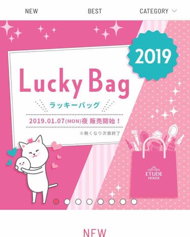 ラッキーバッグ ライフ・イズ・スィート　(福袋 2019)/ETUDE/メイクアップキットを使ったクチコミ（1枚目）