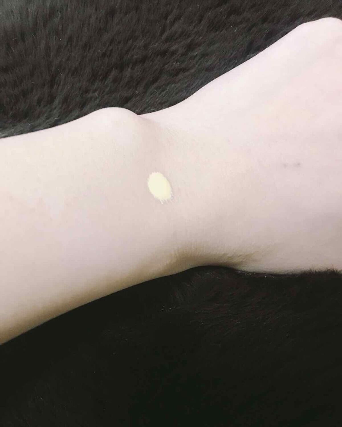 ル ブラン バーズ ルミエール 20 ミモザ