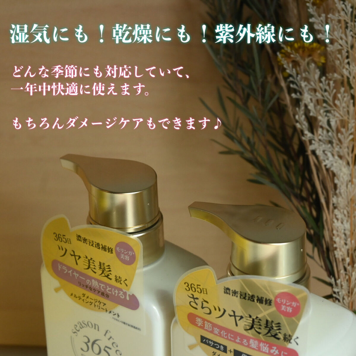 リペア シャンプー/メルティングトリートメント/season free 365/市販シャンプーを使ったクチコミ（3枚目）