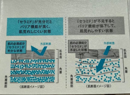 潤浸保湿 フェイスクリーム/キュレル/フェイスクリームを使ったクチコミ(9枚目)