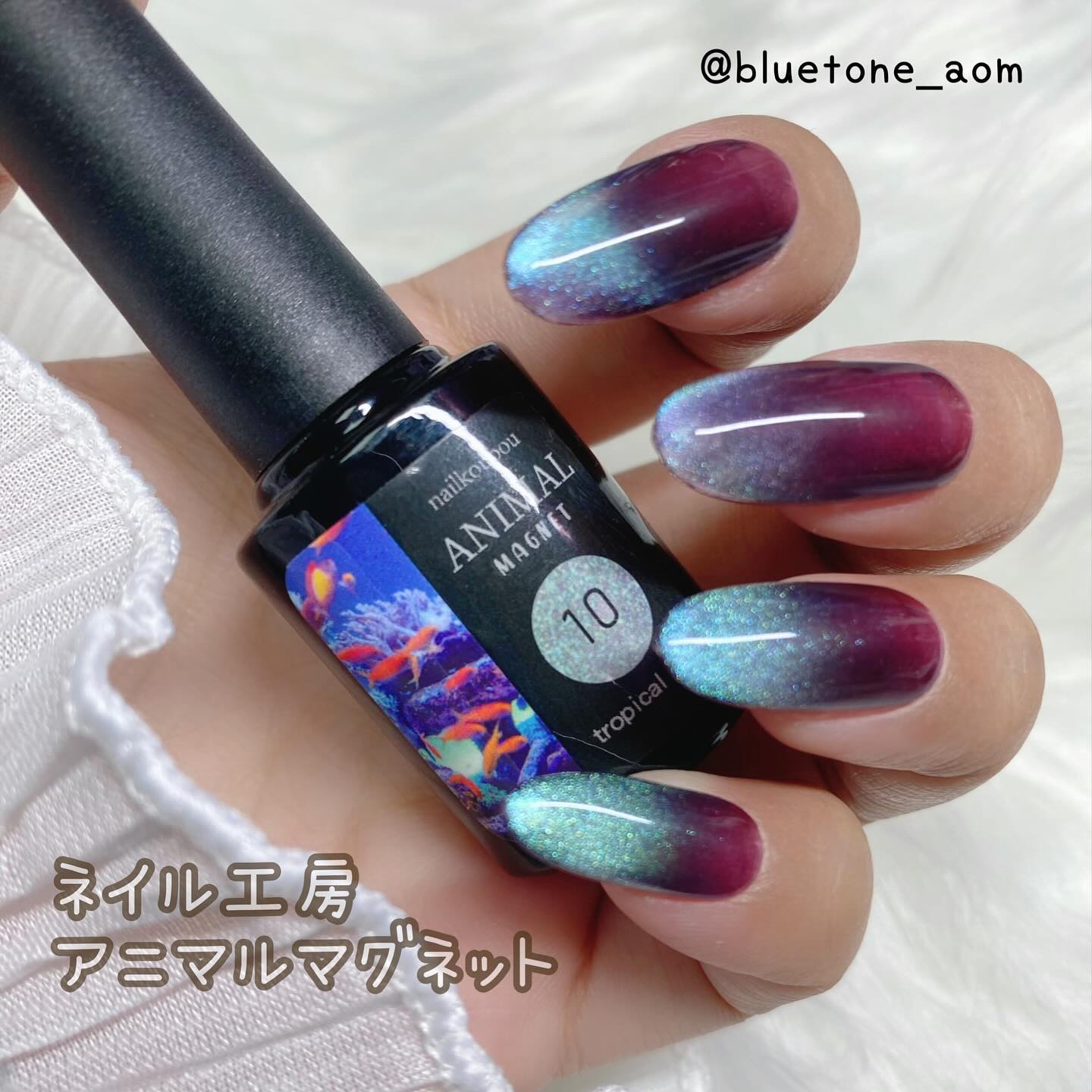 アニマルマグネットジェル/ネイル工房/ジェルネイルを使ったクチコミ（1枚目）