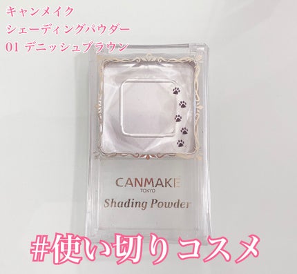 シェーディングパウダー/キャンメイク/シェーディングを使ったクチコミ(1枚目)