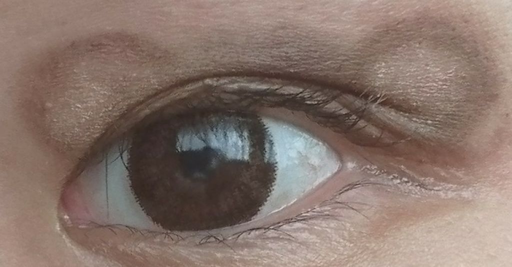 アイパレット ベージュブラウン/カリプソ/アイシャドウパレットを使ったクチコミ（3枚目）