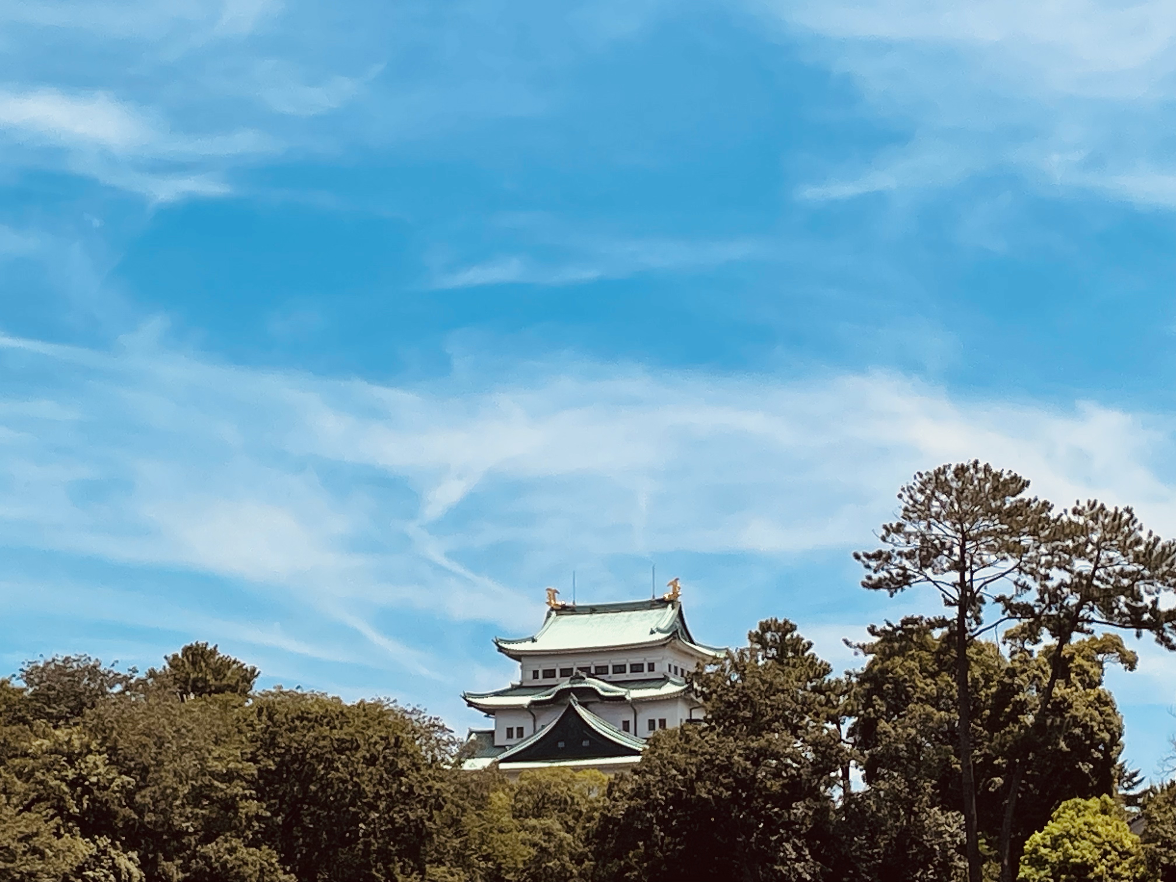 エイトザタラソ リッチコート＆ハイモイスト 美容液ヘアマスク/エイトザタラソ/ヘアマスク・ヘアパックを使ったクチコミ（3枚目）