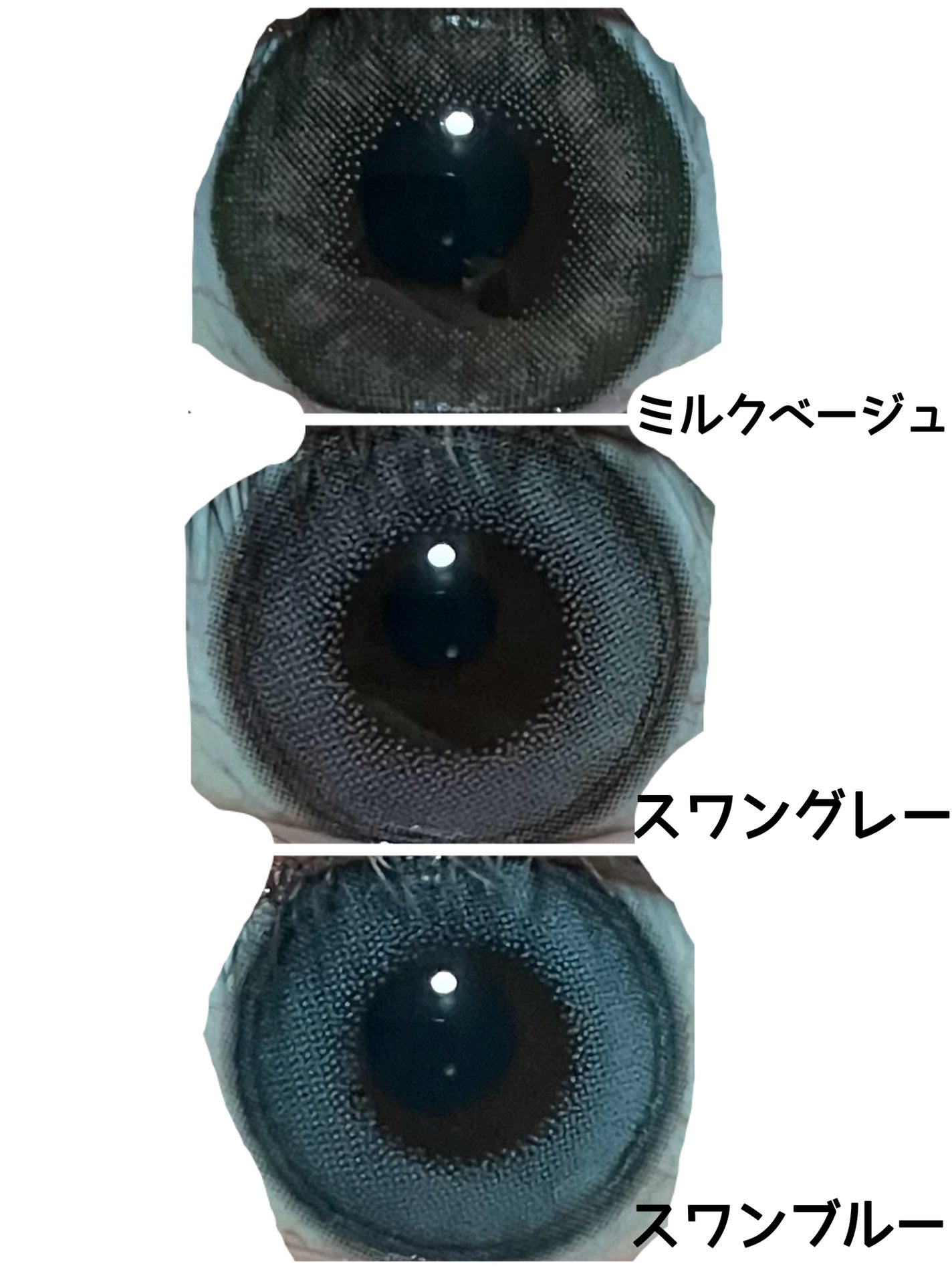 Angelcolor Bambi Series 1day /AngelColor/ワンデー(1DAY)カラコンを使ったクチコミ(1枚目)