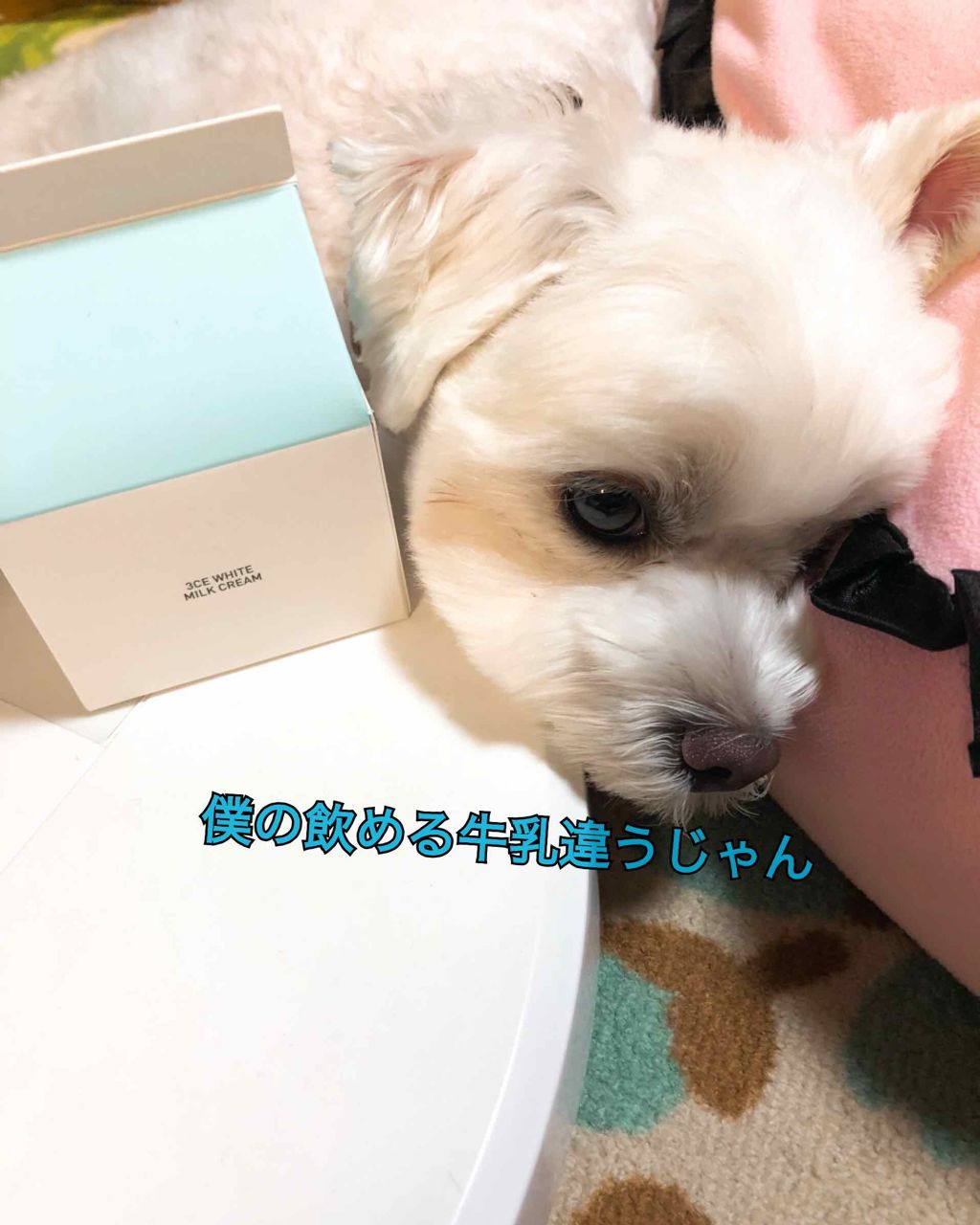 WHITE MILK CREAM/3CE/フェイスクリームを使ったクチコミ(2枚目)