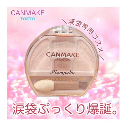プランぷくコーデアイズ/キャンメイク/パウダーアイシャドウを使ったクチコミ(1枚目)