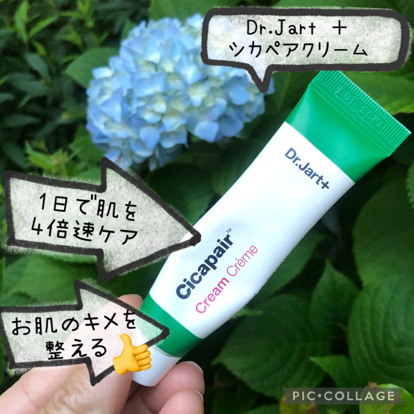 ドクタージャルト シカペア クリーム (第2世代)/Dr.Jart+/フェイスクリームを使ったクチコミ(1枚目)