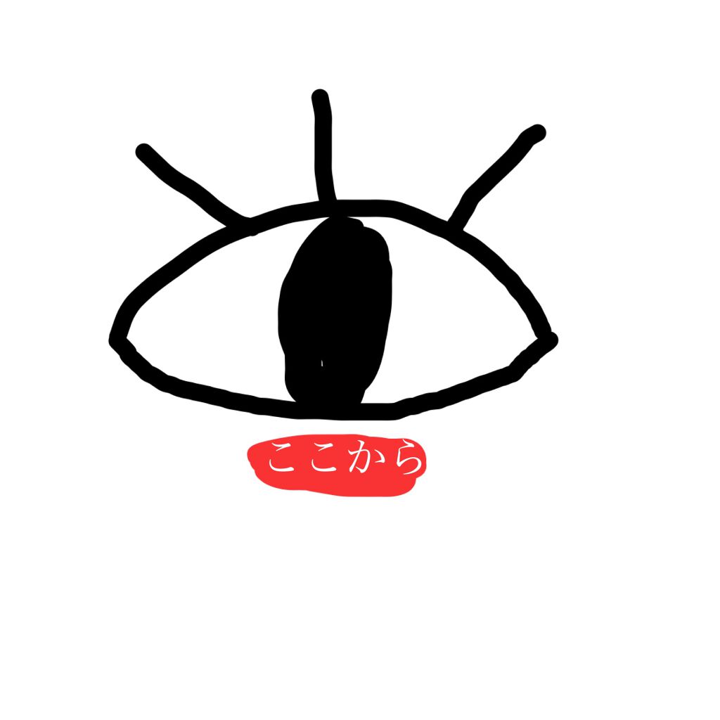 ティアー アイライナー/ETUDE/リキッドアイライナーを使ったクチコミ（2枚目）