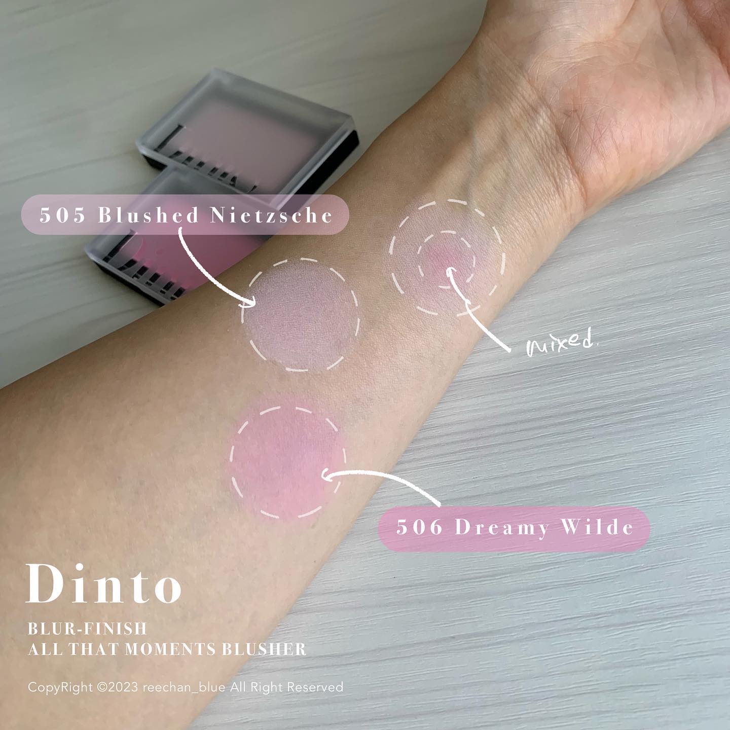 ブラーフィニシュシャドウパレット/Dinto/アイシャドウパレットを使ったクチコミ（2枚目）