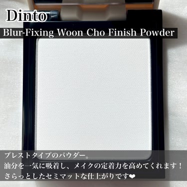 Dinto 雲楚ブラーフィクシングフィニッシュパウダーパクト のクチコミ「\まるでフィルターをかけたようなセミマット肌に‪‪/

Dinto
雲楚ブラーフィクシングフィ.....」（3枚目）