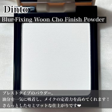 雲楚ブラーフィクシングフィニッシュパウダーパクト /Dinto/プレストパウダーを使ったクチコミ（3枚目）