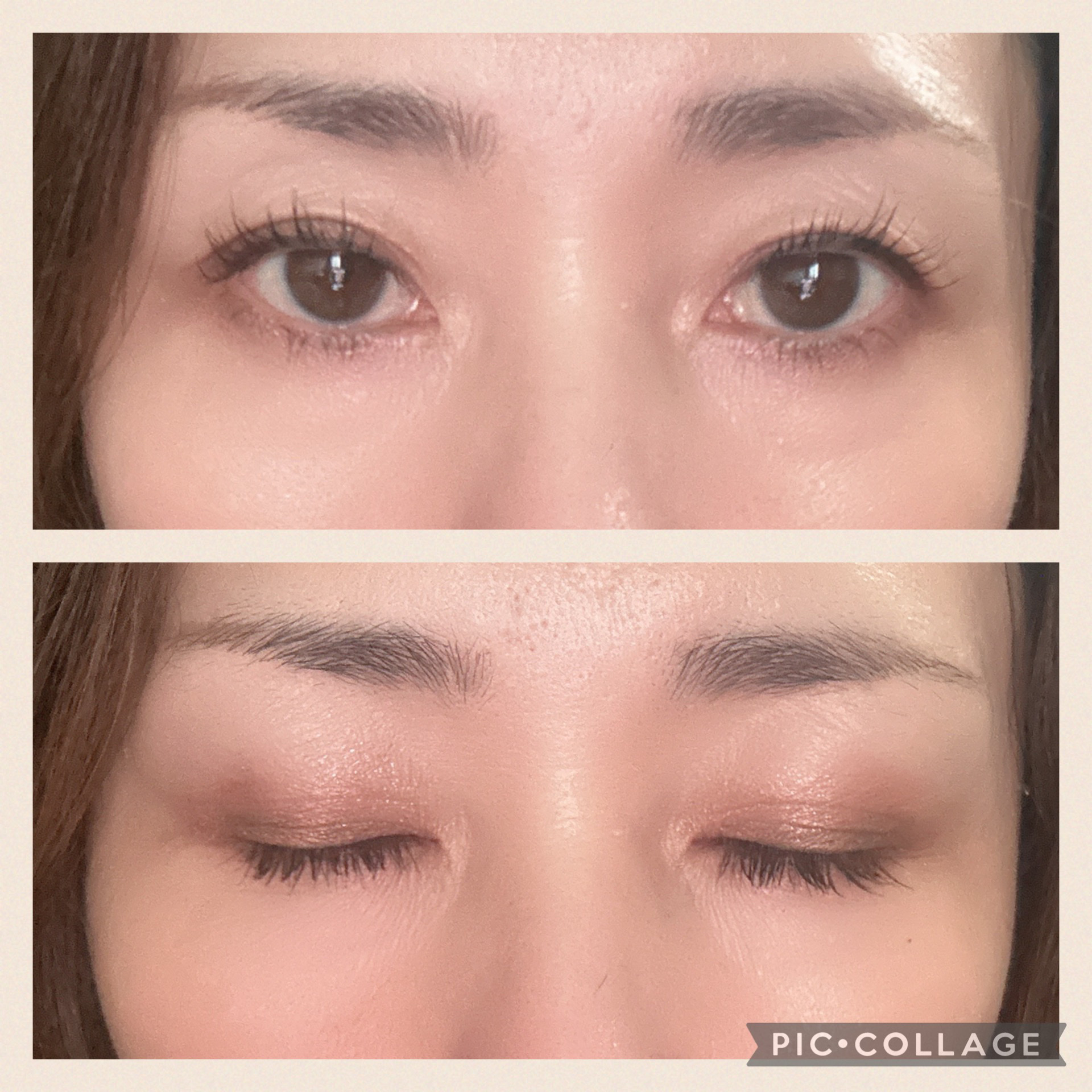 ジンジャーアイシャドウパレット(9色入り) /SHIRO/アイシャドウパレットを使ったクチコミ（3枚目）