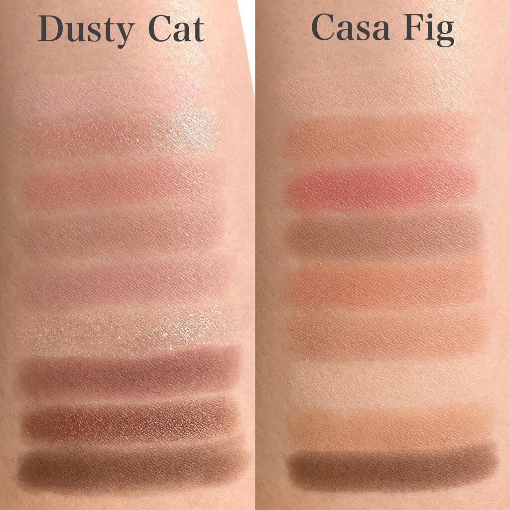 プレイカラーアイズ ダスティキャット/ETUDE/アイシャドウパレットを使ったクチコミ(7枚目)