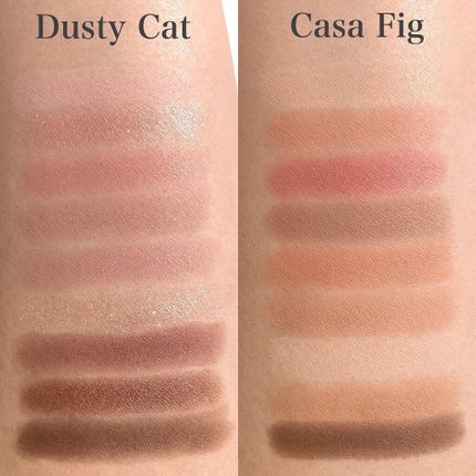 プレイカラーアイズ ダスティキャット/ETUDE/アイシャドウパレットを使ったクチコミ(7枚目)