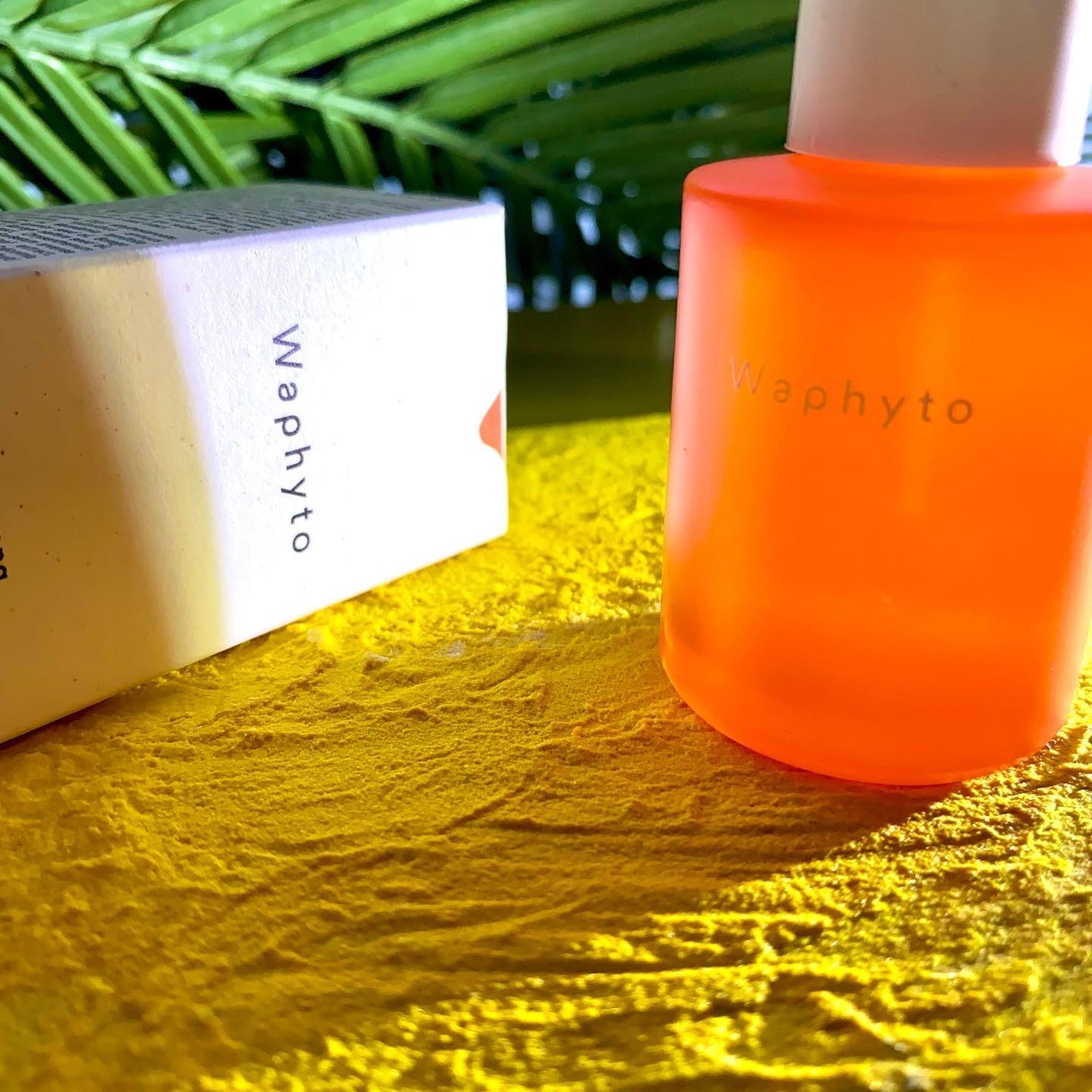 レジェナ エンリッチド フェイシャルオイル/Waphyto/フェイスオイルを使ったクチコミ(2枚目)