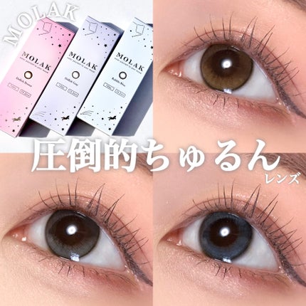 MOLAK 1day/MOLAK/ワンデー(1DAY)カラコンを使ったクチコミ(1枚目)