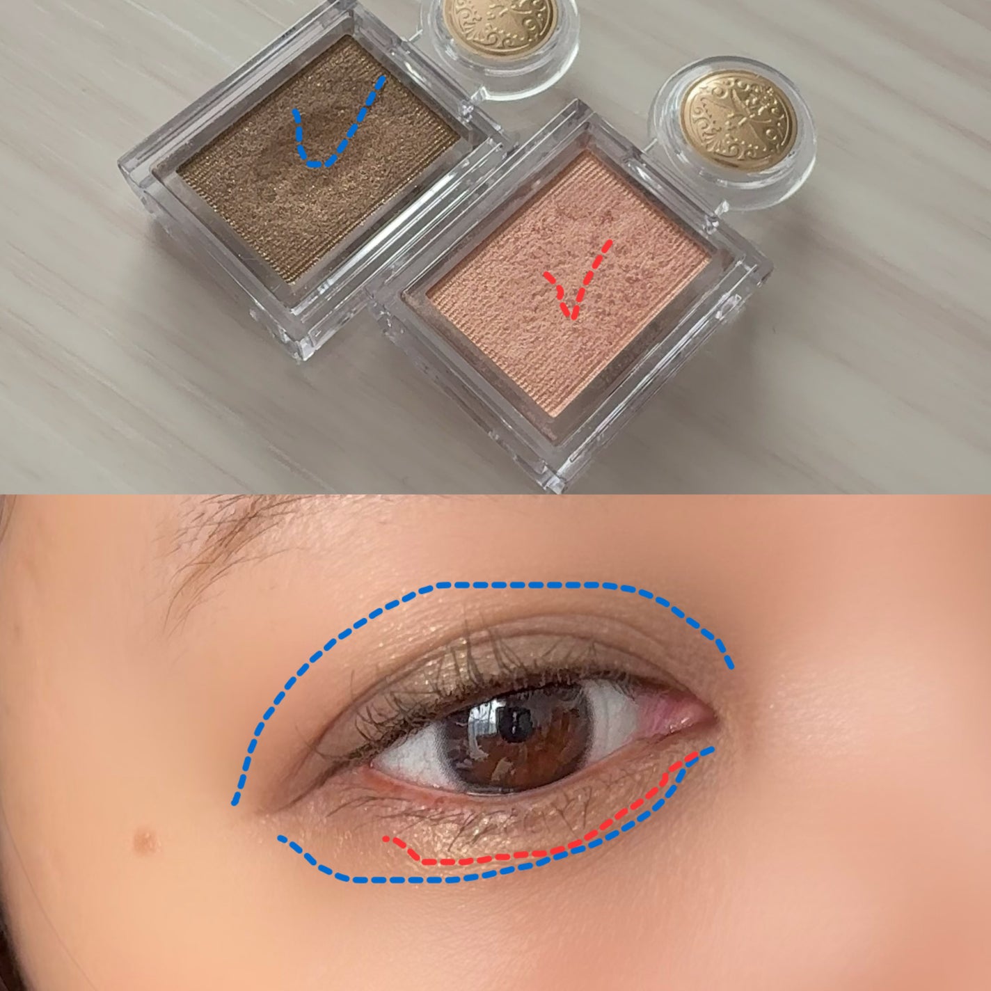 シャドーカスタマイズ/MAJOLICA MAJORCA/単色アイシャドウを使ったクチコミ(5枚目)