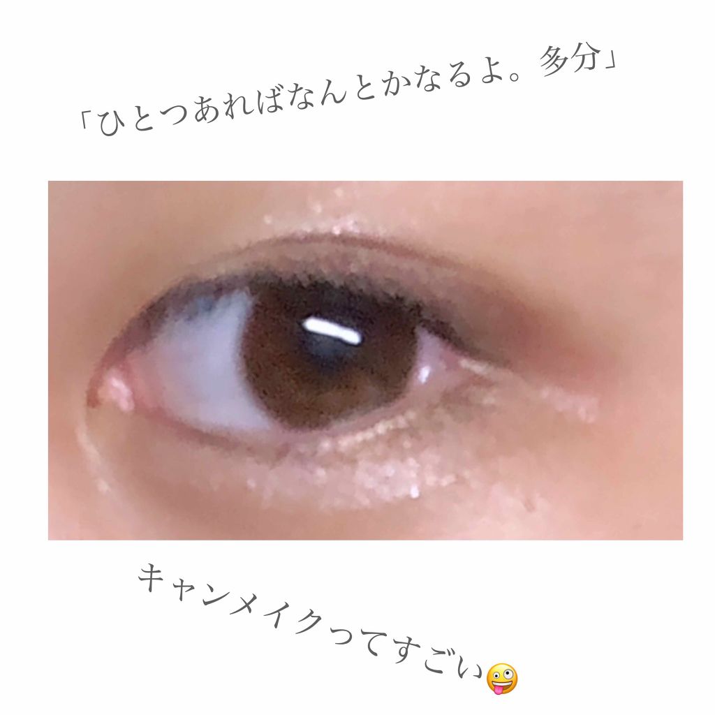 【旧品】パーフェクトスタイリストアイズ/キャンメイク/アイシャドウパレットを使ったクチコミ（2枚目）