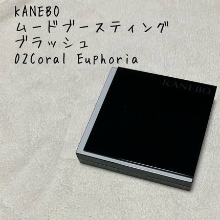 フェースブラシ/KANEBO/メイクブラシを使ったクチコミ(1枚目)