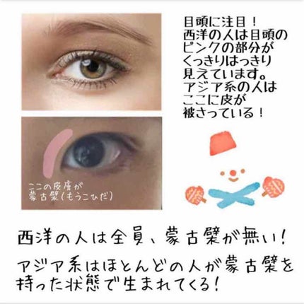 アイトーク/アイトーク/二重まぶた用アイテムを使ったクチコミ(2枚目)