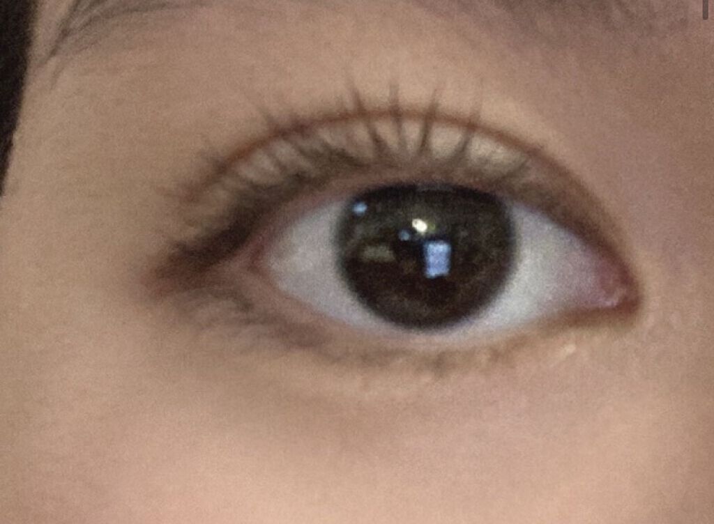 ホットアイラッシュカーラー/貝印/ホットビューラーを使ったクチコミ（3枚目）