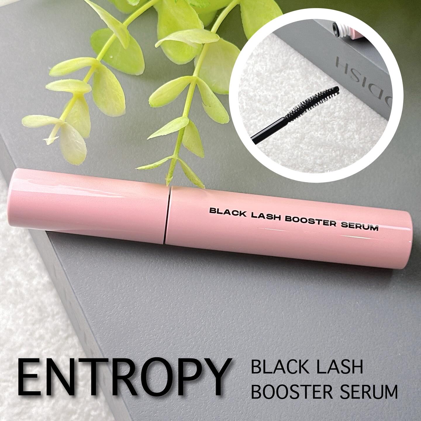ブラックラッシュブースターセラム/ENTROPY/まつげ美容液を使ったクチコミ（1枚目）