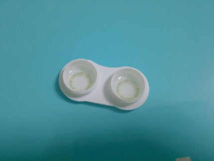 elev(エレーブ)/elev/カラーコンタクトレンズを使ったクチコミ(2枚目)