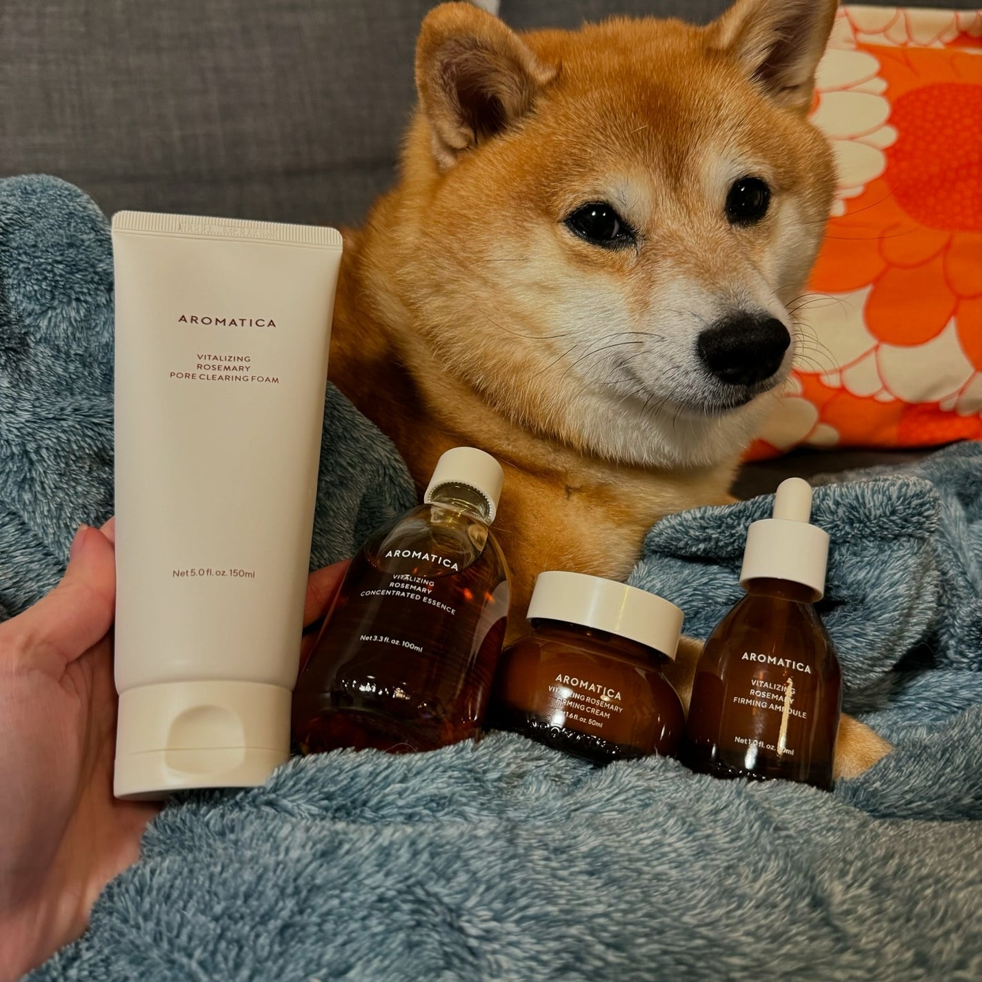 ローズマリーコンセントレイテッドエッセンス/AROMATICA/美容液を使ったクチコミ(1枚目)