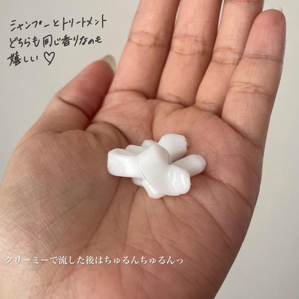 ハイセラ シャンプー / トリートメント ペアー&フリージア/ミルクバオバブ/シャンプー・コンディショナーを使ったクチコミ(5枚目)