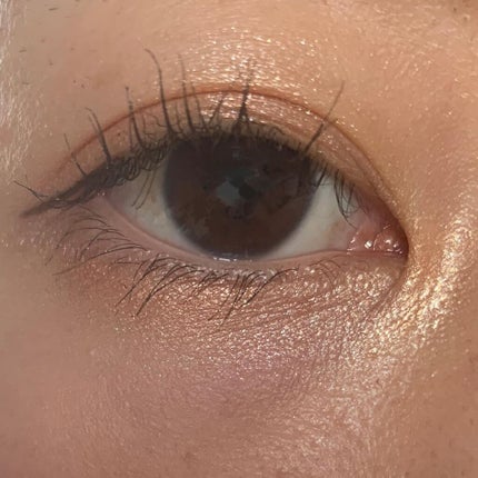 「塗るつけまつげ」ロングタイプ/デジャヴュ/マスカラを使ったクチコミ(5枚目)