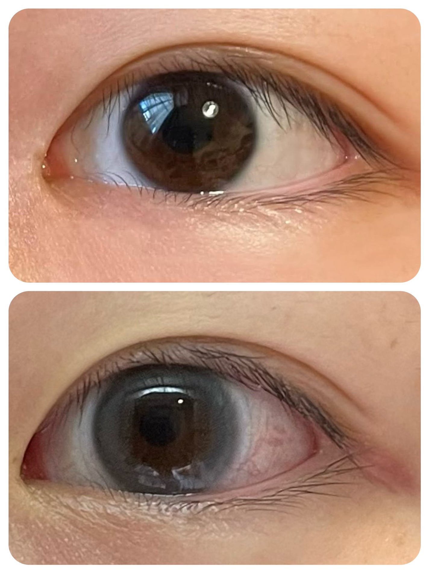 ReVIA 1day/ReVIA/ワンデー(1DAY)カラコンを使ったクチコミ(2枚目)