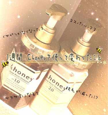 ディープモイスト シャンプー1.0／ヘアトリートメント2.0/&honey/シャンプー・コンディショナーを使ったクチコミ（1枚目）