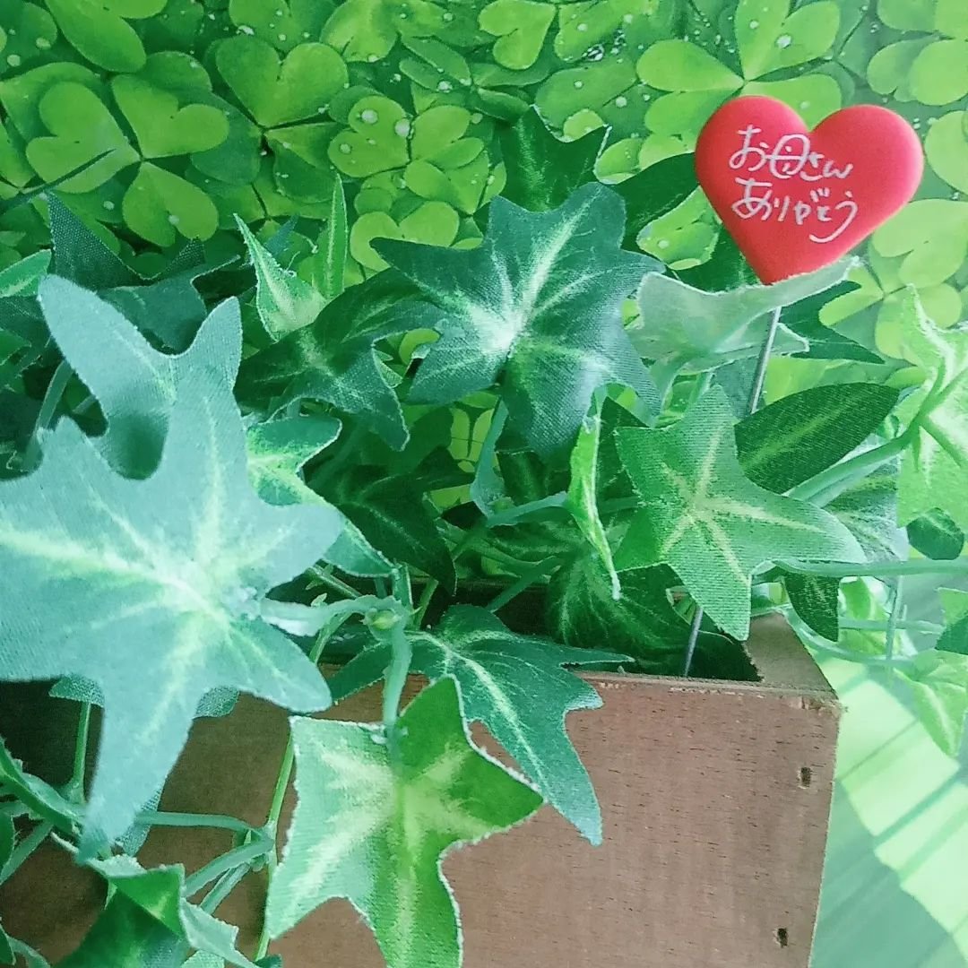 ハートピック/アドニス/その他を使ったクチコミ（2枚目）