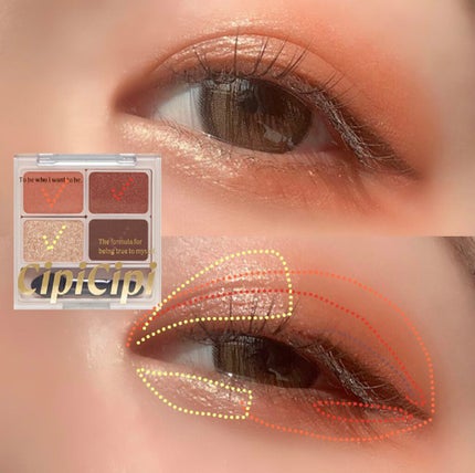 ドレッシーシャドウ/CipiCipi/アイシャドウパレットを使ったクチコミ(6枚目)