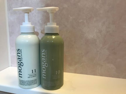 ノンシリコン アミノ酸シャンプー/コンディショナー (モイスト&フォレスト)/MOGANS/市販シャンプーを使ったクチコミ(1枚目)