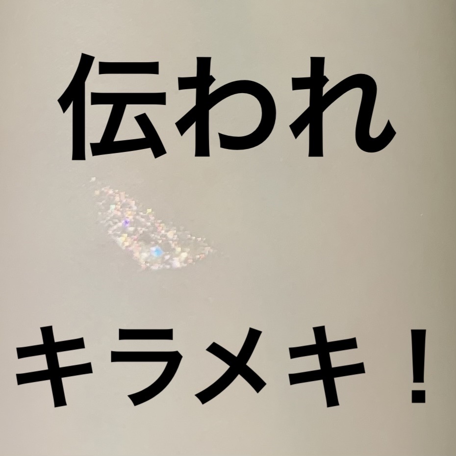 ウォンジョンヨ　ダイヤモンドライナー/Wonjungyo/リキッドアイシャドウを使ったクチコミ（2枚目）